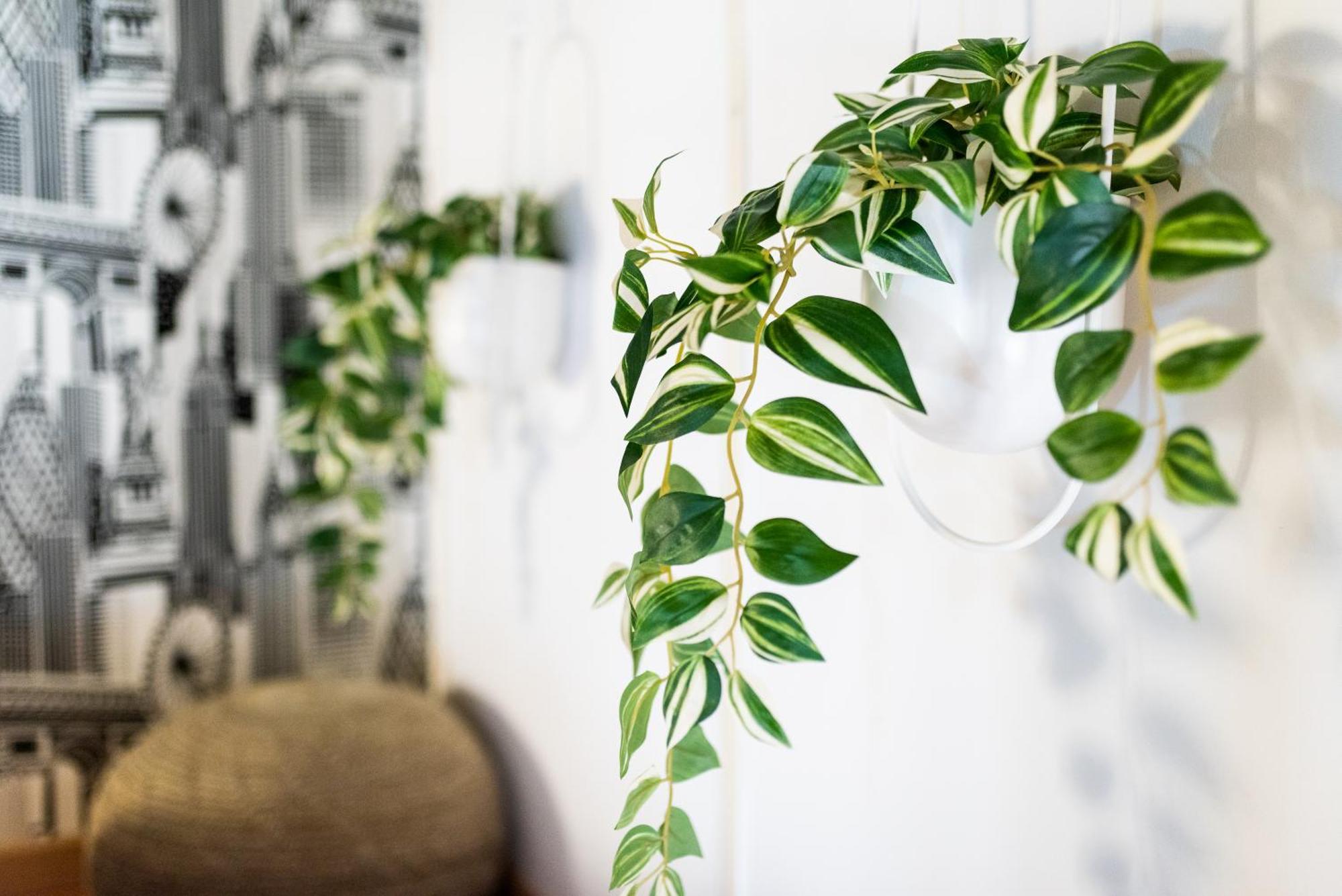 Apartamento Con Encanto, Centro Granada Bagian luar foto