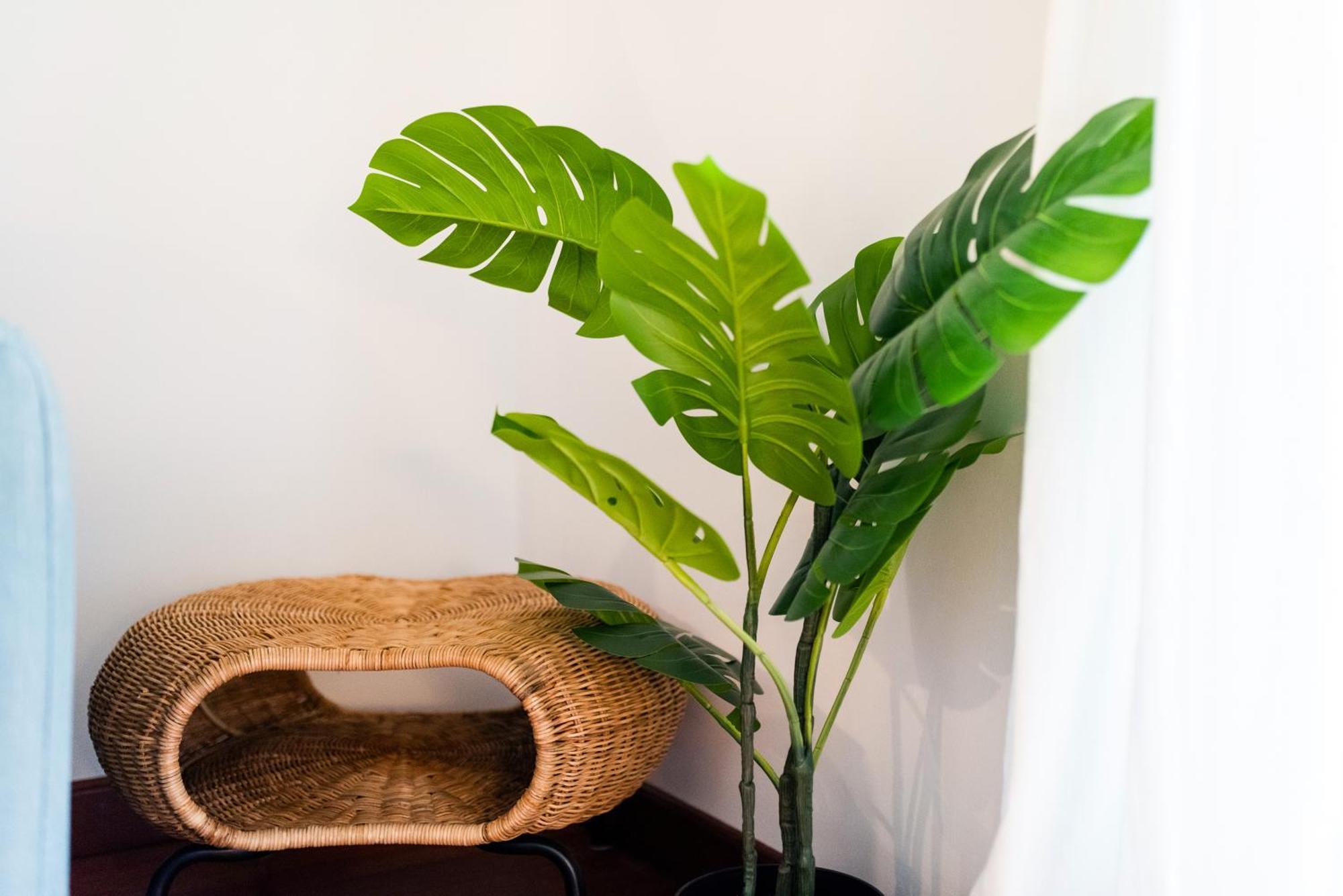 Apartamento Con Encanto, Centro Granada Bagian luar foto